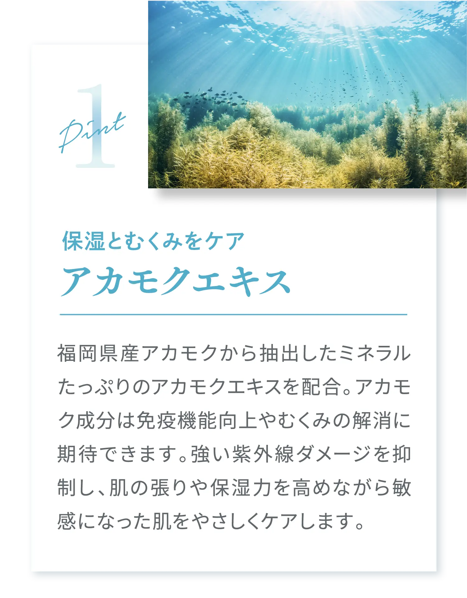 保湿とむくみをケア アカモクエキス